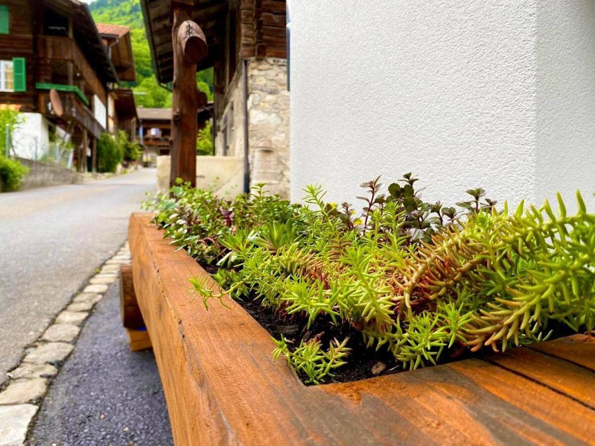 Appartamento Beim Brunnen Gsteigwiler Esterno foto